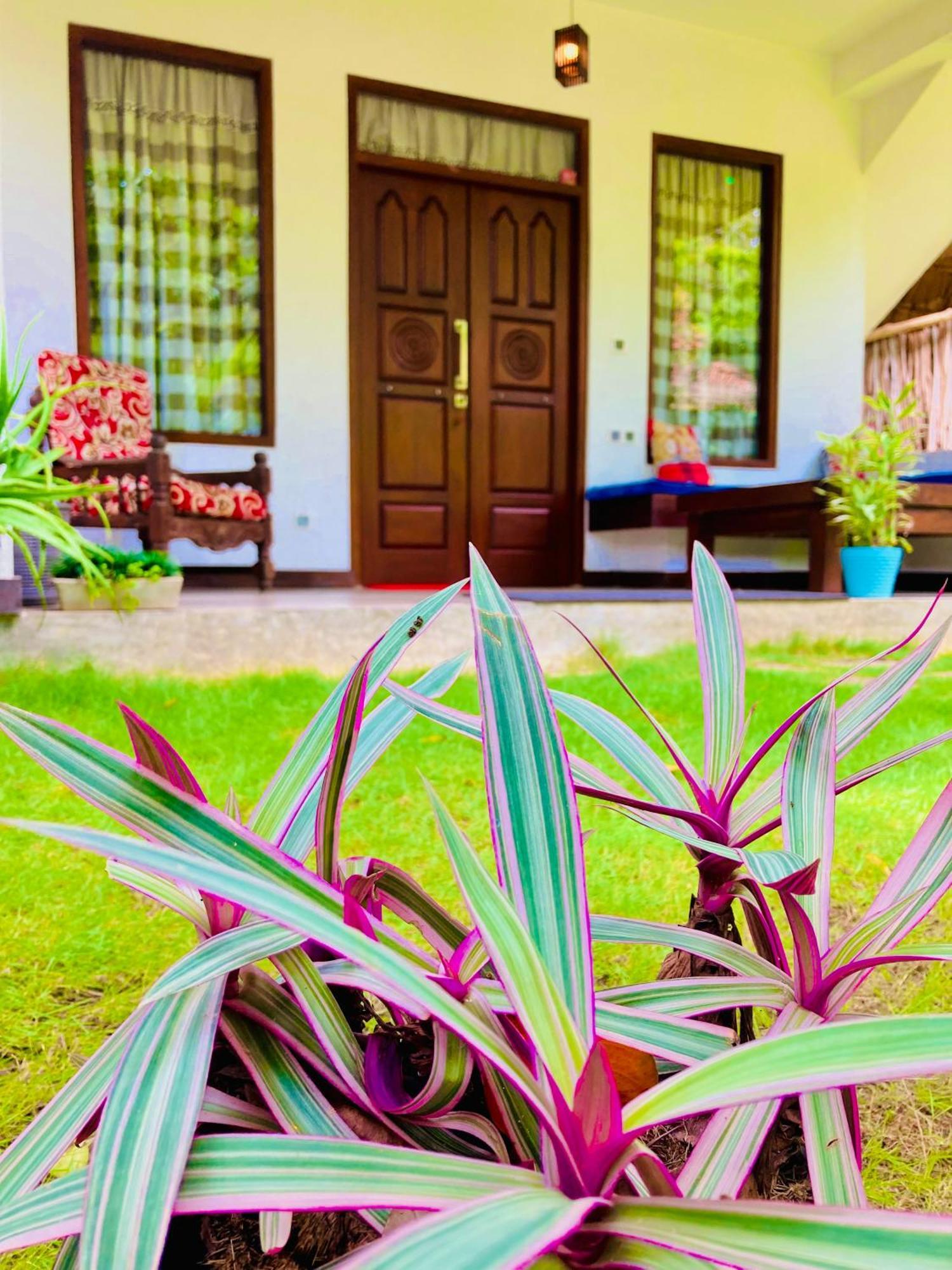 Hôtel Mountain Seaview Cabanas à Tangalle Extérieur photo